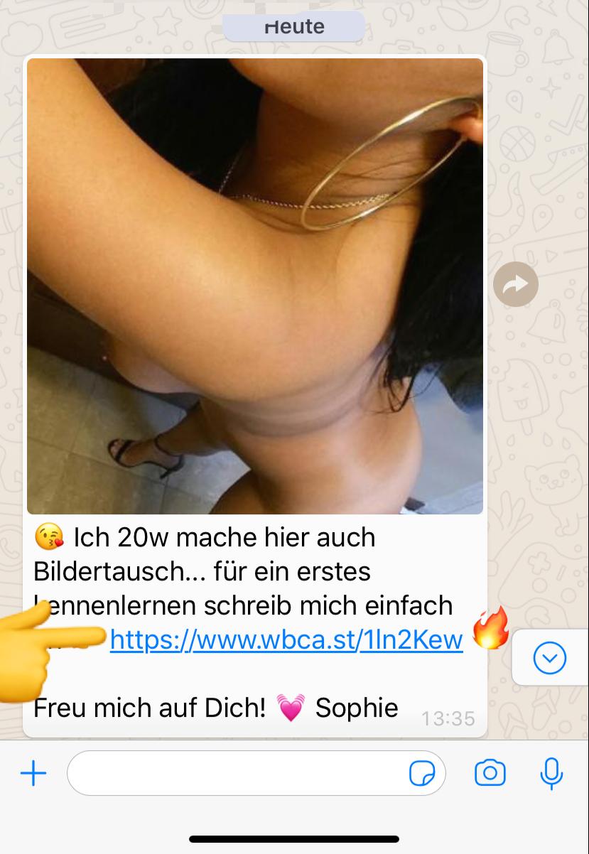 Sexy Chats (Whatsapp)