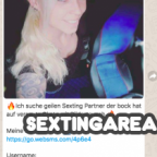 Screenshot von einem Sexchat